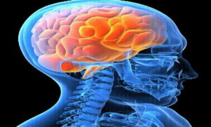 Neurosurgery Billing